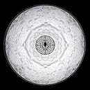 フロス FLOS  SKYGARDEN SMALL （スカイガーデン スモール）ペンダントライト Brown ブラウン F6405647 要電気工事 正規品 3年保証 送料無料