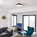 AW-0626E Glow 6000 アートワークスタジオ ARTWORKSTUDIO LED-ceiling lamp グロー6000LEDシーリングランプ(BK/LW ブラック＋ライトウッド)