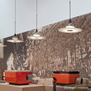 フロス FLOS「FRISBI JP (フリスビ JP)」★引掛仕様 FLOS フロス ペンダントライト【FRISBI JP】【正規品】【3年保証】F2501600