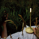 ウィック モバイル ゴールド テーブルライト GRAYPANTS（グレイパンツ） / WICK MOBILE GOLD 3年保証