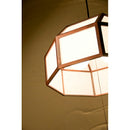 新洋電気 Lampada ランパダ AP824-2　宴 -en-　2灯タイプ ペンダントライト 3年保証