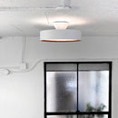 AW-0556 Glow 5000 アートワークスタジオ ARTWORKSTUDIO LED-ceiling lamp グロー5000LEDシーリングランプ(WH/LW ホワイト＋ライトウッド)