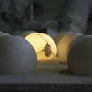 ネイル25 ペンダントライト CARPYEN（カルピエン） / NEIL 25 3年保証