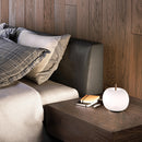 KUSHI テーブルライト 16 テーブルライト KUNDALINI（クンダリーニ） / KUSHI TABLE 16 3年保証